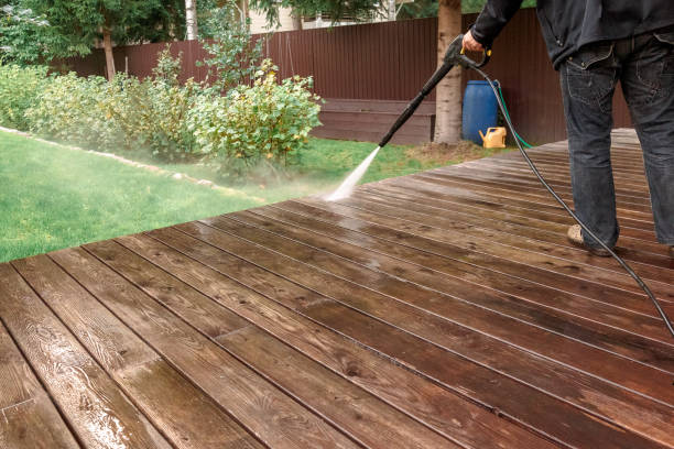 Best Animal Enclosure Cleaning  in Romney, WV