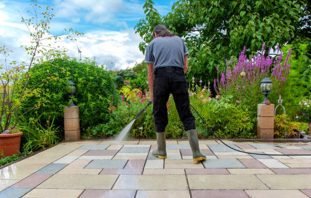 Best Restaurant Pressure Washing  in Romney, WV
